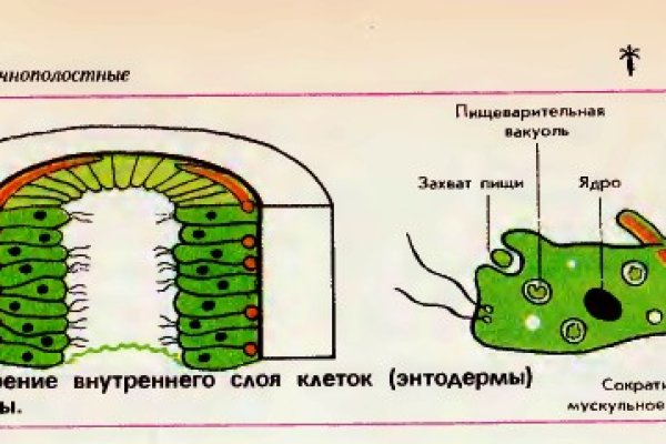 Блэкспрут зеркало рабочее