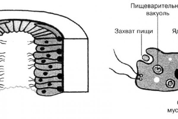 Black sprut что это blacksprut adress com