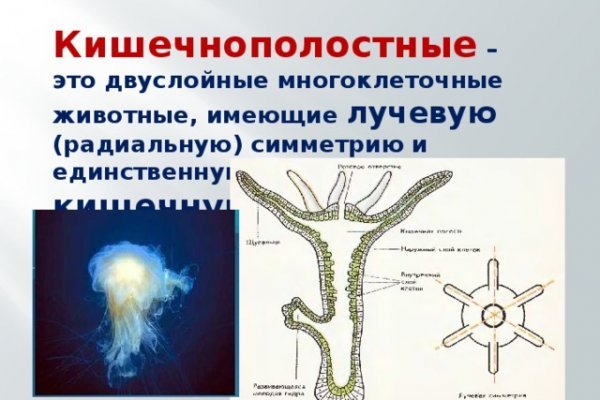 Как зайти на blacksprut bs2webes net