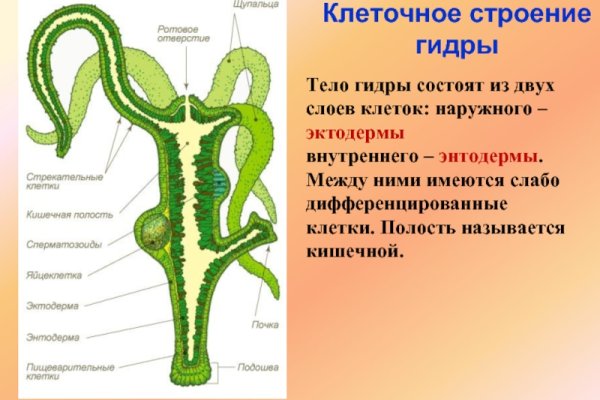 Bs clinic екатеринбург официальный сайт